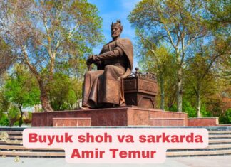 Amir Temur haqida ma'lumot