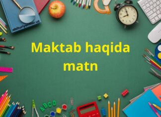 Maktab haqida matn